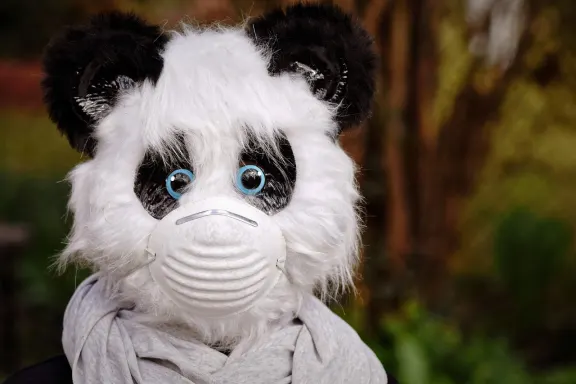 Casino of Dreams Stuðningur